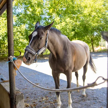 Apartment Ranc Katja In Abdul