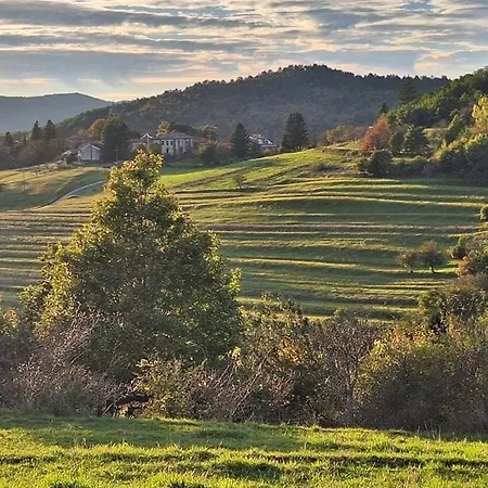 Ranc Katja In Abdul *