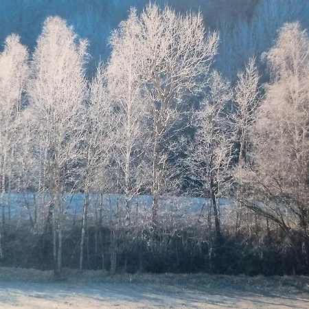 Apartament Ranc Katja In Abdul *