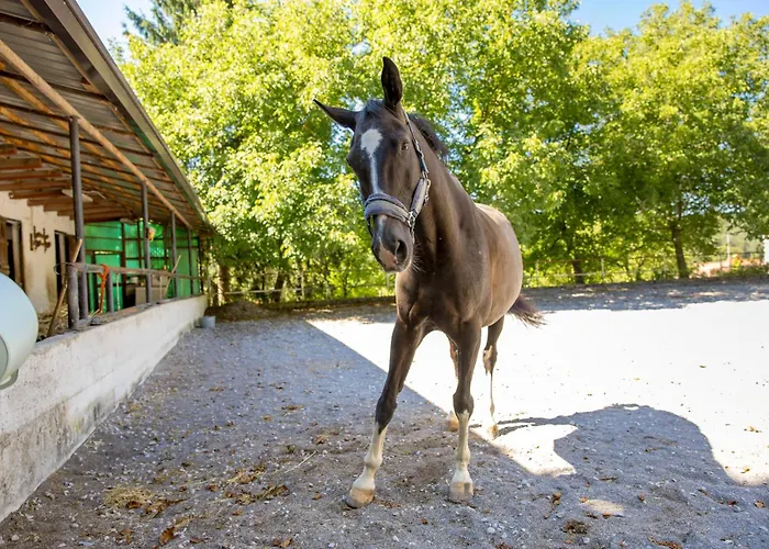 شقة Ranc Katja In Abdul *