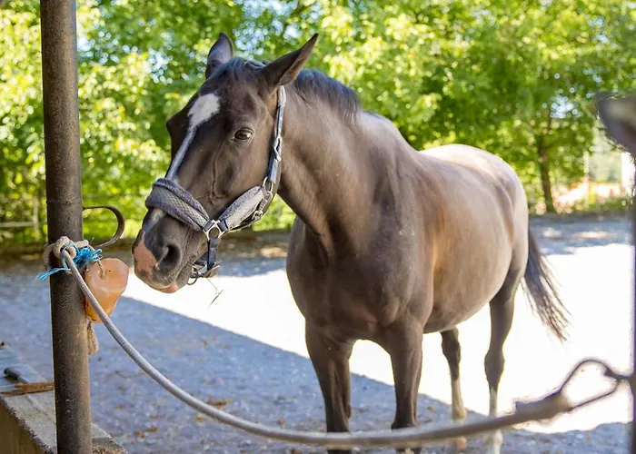شقة Ranc Katja In Abdul