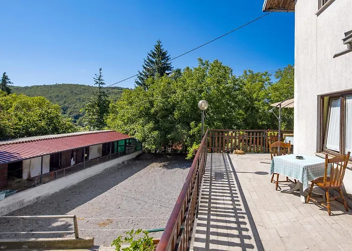 Ranc Katja In Abdul Matterija