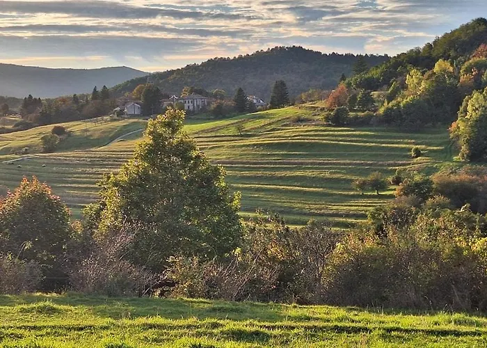 Ranc Katja In Abdul *